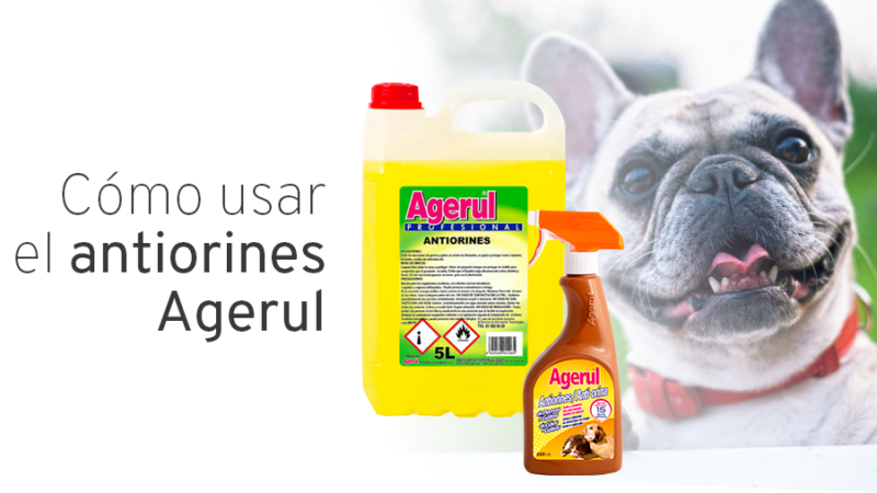 comprar-antiorines-agerul