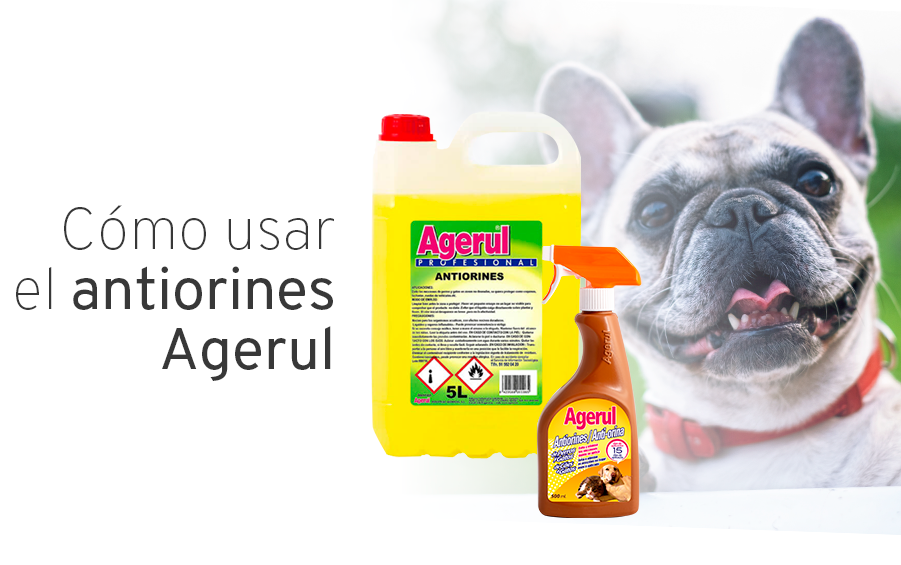 comprar-antiorines-agerul